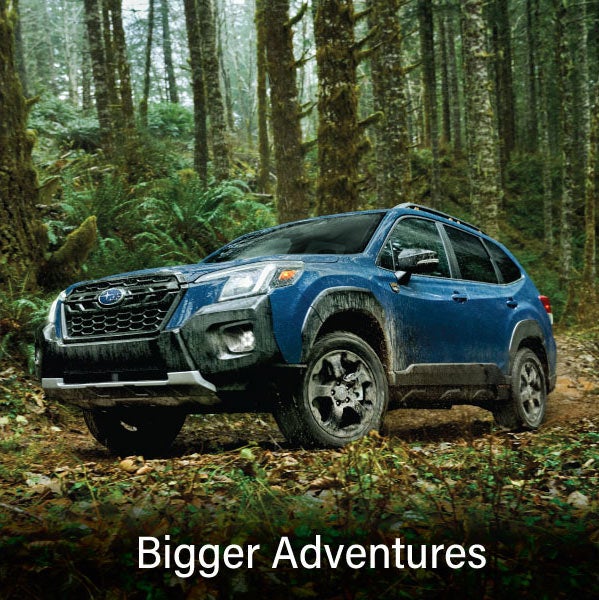 A blue Subaru outback wilderness with the words “Bigger Adventures“. | Subaru of Grand Blanc in Grand Blanc MI